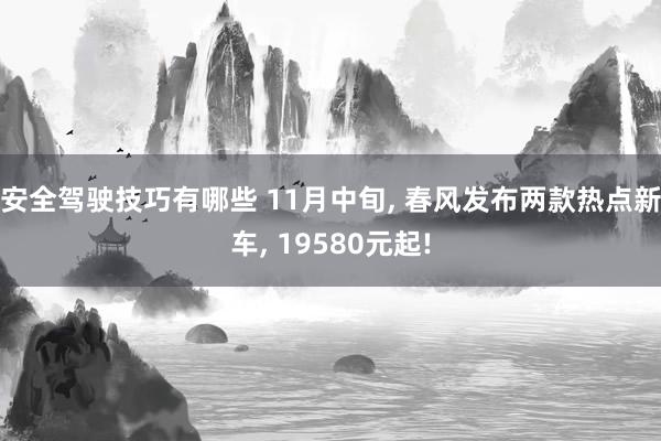 安全驾驶技巧有哪些 11月中旬, 春风发布两款热点新车, 19580元起!