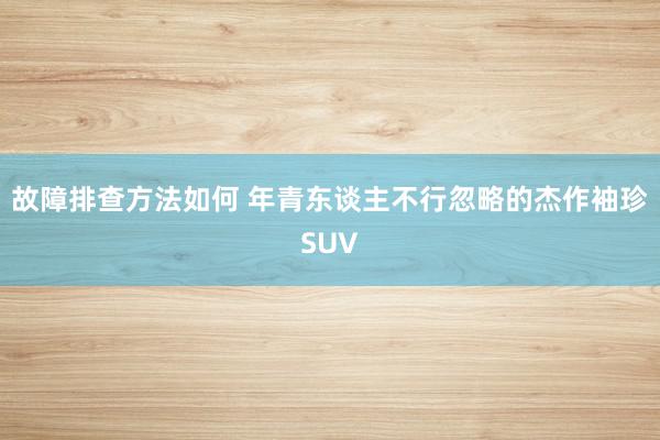 故障排查方法如何 年青东谈主不行忽略的杰作袖珍SUV