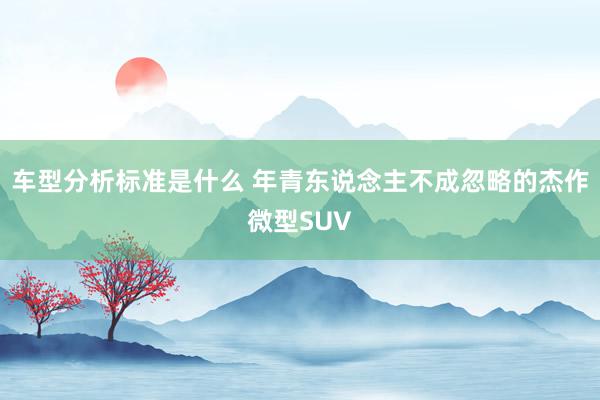 车型分析标准是什么 年青东说念主不成忽略的杰作微型SUV