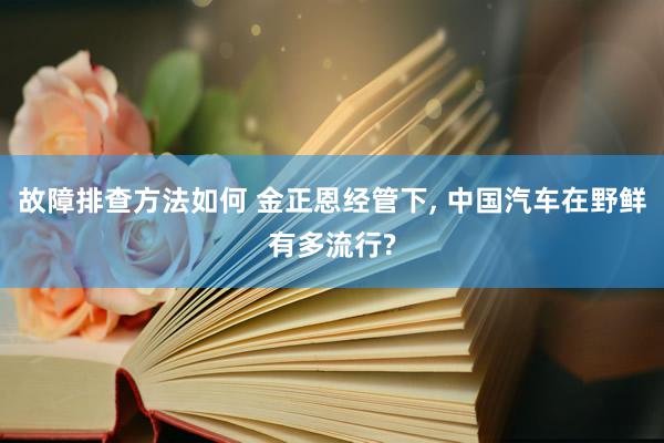 故障排查方法如何 金正恩经管下, 中国汽车在野鲜有多流行?