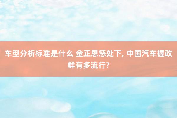 车型分析标准是什么 金正恩惩处下, 中国汽车握政鲜有多流行?