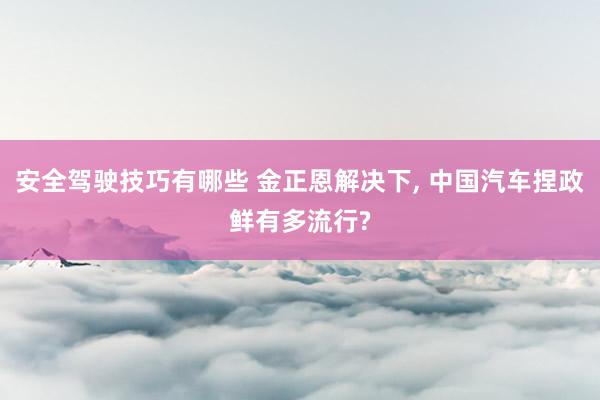 安全驾驶技巧有哪些 金正恩解决下, 中国汽车捏政鲜有多流行?