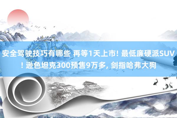 安全驾驶技巧有哪些 再等1天上市! 最低廉硬派SUV! 逊色坦克300预售9万多, 剑指哈弗大狗