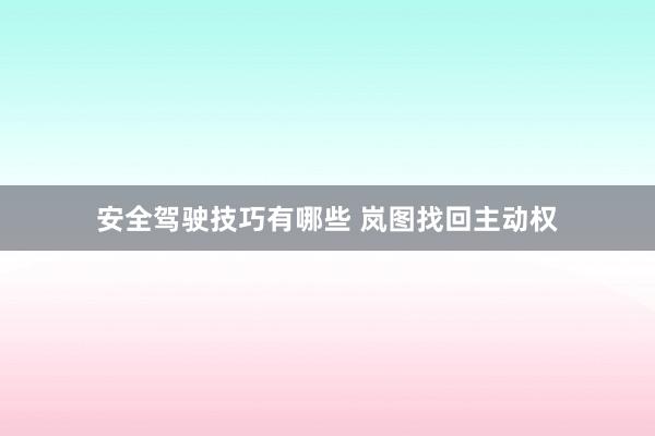 安全驾驶技巧有哪些 岚图找回主动权