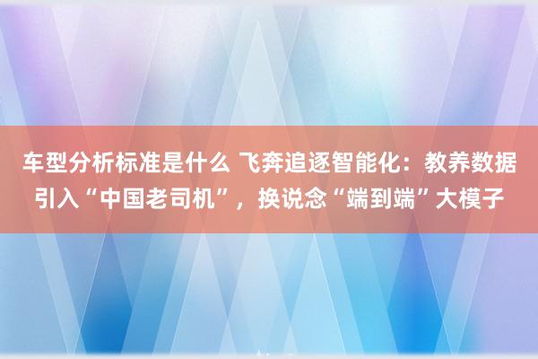 车型分析标准是什么 飞奔追逐智能化：教养数据引入“中国老司机”，换说念“端到端”大模子