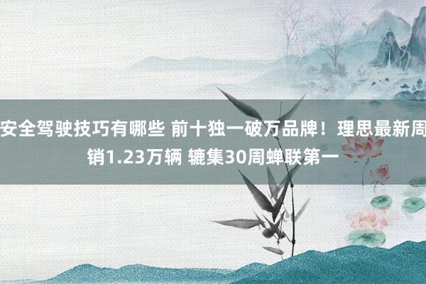 安全驾驶技巧有哪些 前十独一破万品牌！理思最新周销1.23万辆 辘集30周蝉联第一