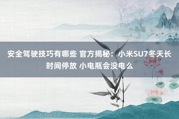 安全驾驶技巧有哪些 官方揭秘：小米SU7冬天长时间停放 小电瓶会没电么