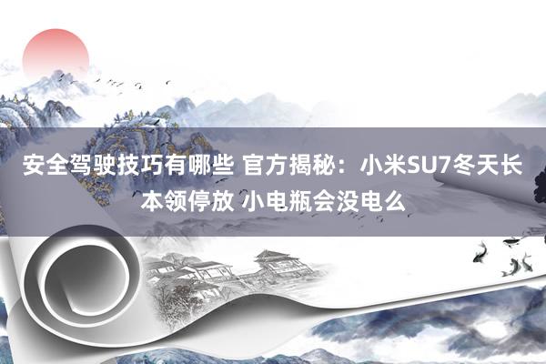 安全驾驶技巧有哪些 官方揭秘：小米SU7冬天长本领停放 小电瓶会没电么