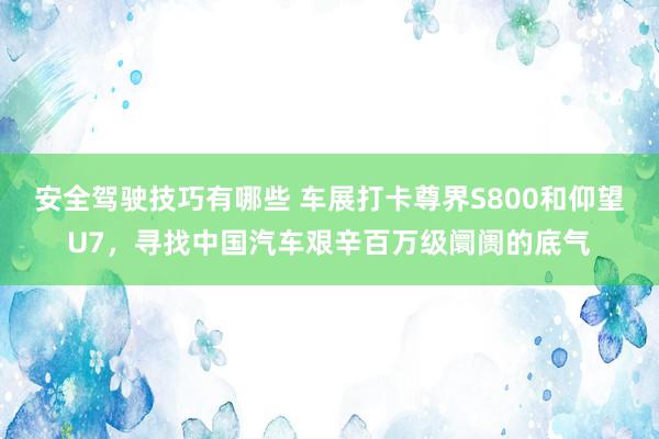 安全驾驶技巧有哪些 车展打卡尊界S800和仰望U7，寻找中国汽车艰辛百万级阛阓的底气