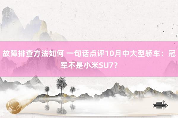 故障排查方法如何 一句话点评10月中大型轿车：冠军不是小米SU7？