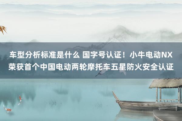 车型分析标准是什么 国字号认证！小牛电动NX荣获首个中国电动两轮摩托车五星防火安全认证