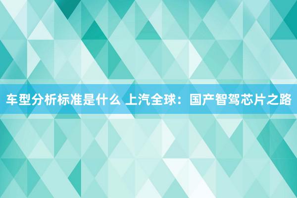 车型分析标准是什么 上汽全球：国产智驾芯片之路