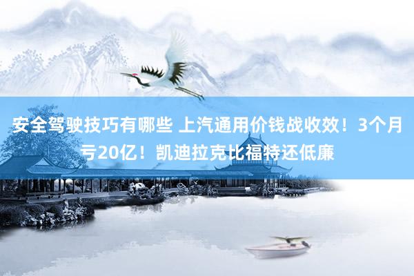 安全驾驶技巧有哪些 上汽通用价钱战收效！3个月亏20亿！凯迪拉克比福特还低廉