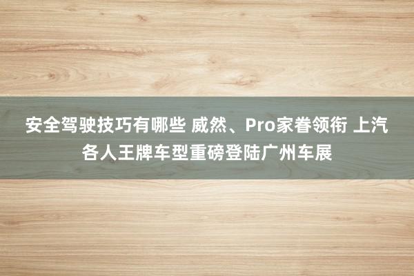 安全驾驶技巧有哪些 威然、Pro家眷领衔 上汽各人王牌车型重磅登陆广州车展