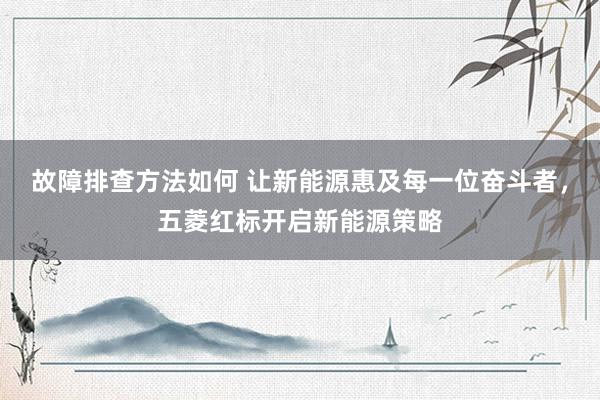 故障排查方法如何 让新能源惠及每一位奋斗者，五菱红标开启新能源策略