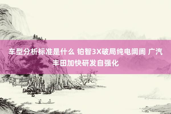 车型分析标准是什么 铂智3X破局纯电阛阓 广汽丰田加快研发自强化