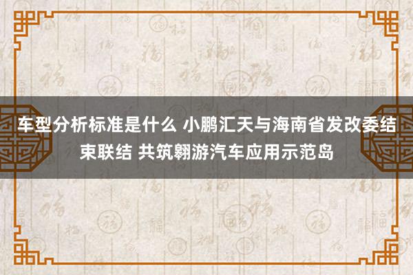 车型分析标准是什么 小鹏汇天与海南省发改委结束联结 共筑翱游汽车应用示范岛