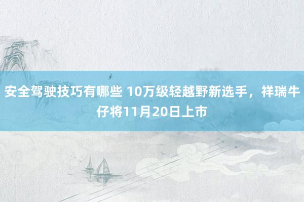 安全驾驶技巧有哪些 10万级轻越野新选手，祥瑞牛仔将11月20日上市