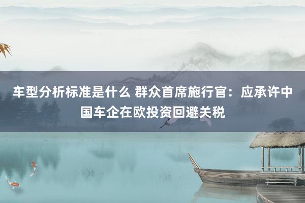 车型分析标准是什么 群众首席施行官：应承许中国车企在欧投资回避关税