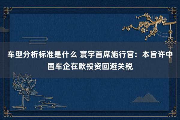 车型分析标准是什么 寰宇首席施行官：本旨许中国车企在欧投资回避关税