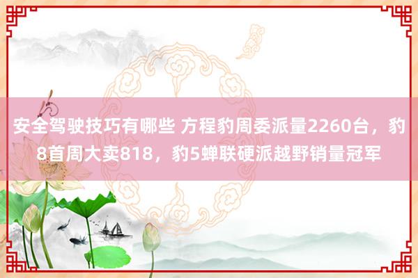 安全驾驶技巧有哪些 方程豹周委派量2260台，豹8首周大卖818，豹5蝉联硬派越野销量冠军