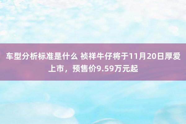 车型分析标准是什么 祯祥牛仔将于11月20日厚爱上市，预售价9.59万元起