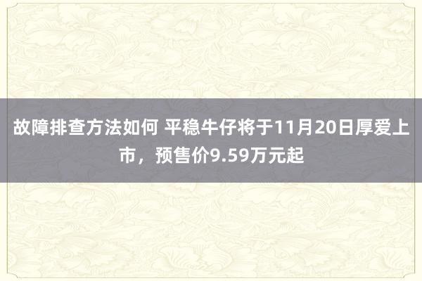 故障排查方法如何 平稳牛仔将于11月20日厚爱上市，预售价9.59万元起