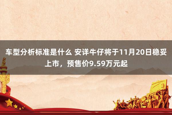 车型分析标准是什么 安详牛仔将于11月20日稳妥上市，预售价9.59万元起